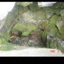 한천 참샘 이미지