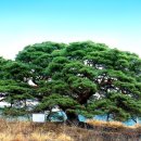 샬롬치과의원 이미지