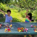 꼼지의 작은세상 이미지