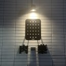 피오피컨설팅 | [내돈내산] 신사약방, 고기는 보약이다