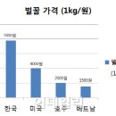 2030년이면 완전 무관세 / 베트남산 꿀 이미지