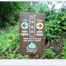 속리산둘레길 보은길1 티스토리