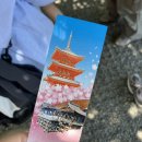 나나미스시 | 왜 오사카에 왔는데 교토를 가죠? - 2일차