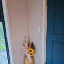 잼잼풀빌라 키즈펜션 이미지