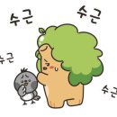 올인교육센터 이미지