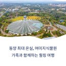 제주 천제연 난대림 | 제주도 천제연폭포, 칠선녀의 전설속으로 여행