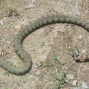 말고개낚시터 이미지