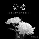 법인솔