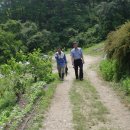 윤성농장 이미지