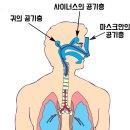 그린필치과의원 이미지