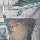 강우동물병원 이미지