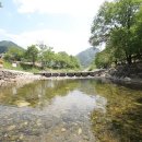 명희농장 이미지