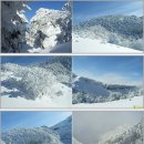 대한민국에서 가장 높은 눈 덮힌 한라산(1,950m) 다녀 왔습니다. 이미지