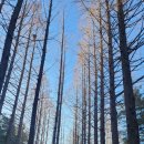 옹기골근린공원 이미지