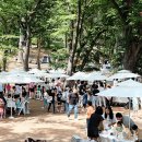 소sowhat 이미지