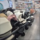 에스PC | 초경량 휴대용 유모차 추천 2026년형 와이업 지니에스3 착한 가격에 구매한 찐만족 후기