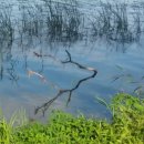 북한강변길 이미지