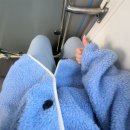 서희메탈 | 와진짜개바쁘다..밀린사진200장근데200장더올려야됨