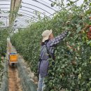 선해축산 이미지