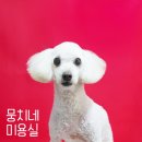 뭉치네 미용실 이미지