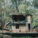 소소행식당 | 방콕에서 치앙마이, 올드타운에서 행복한 3박4일