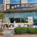 내포가발