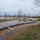 조이풀수영장 이미지