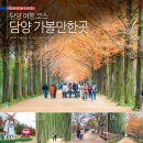 굴다리부분정비 | 전남 담양 가볼만한곳 담양 여행 코스 메타세콰이어 길 외