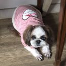 이가네 푸드 - 경산시 | 이가네 푸드