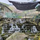 임내등산로 이미지