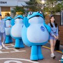 두꺼비 포차 이미지