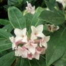 북유성대로(유성-28) 이미지