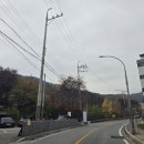 코다리덕장용인신봉점 이미지