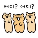 쿤(블루문) 네이버블로그