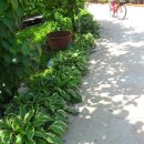 이건농장 이미지