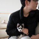 이브아이