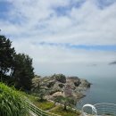 바람의언덕 이미지