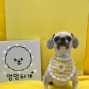 꽃님미용실 - 남해군 남서대로 788 | 꽃님미용실