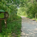 스테이몽 펜션 이미지