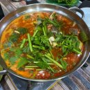 청해 회 수산 이미지