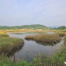 남산 그라운드 골프장 이미지