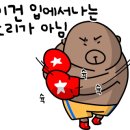 군포복싱 이미지