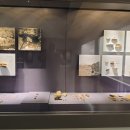 서귀동 천지연 생수궤 이미지