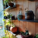 성내리다목적회관 이미지