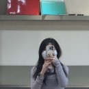 화실헤어