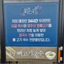 국수꽃 이미지