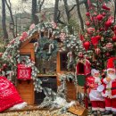 망월로 | 의정부 크리스마스 카페 BEST3｜나크타·투하츠베이커리·아나키아 내돈내산 후기