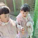 담미숯불갈비