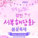 강진-4 이미지