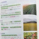 왕골목장 이미지